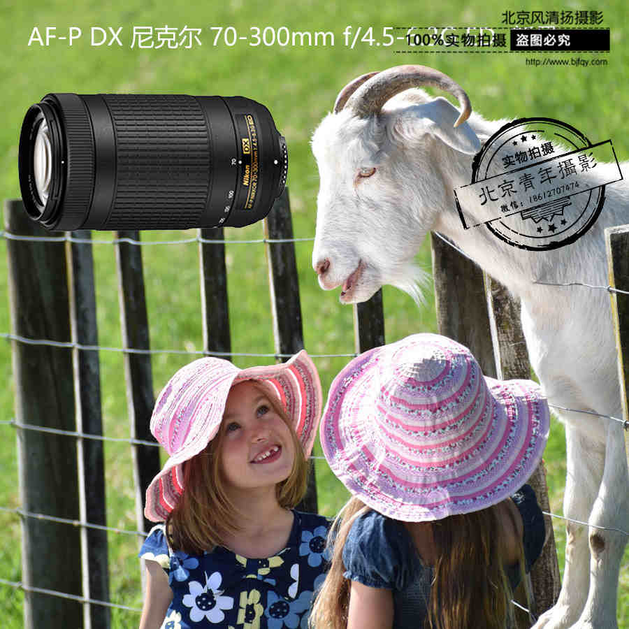 尼康 AF-P DX 尼克爾 70-300mm f/4.5-6.3G ED 鏡頭 新品 無防抖